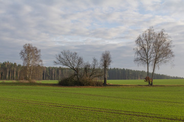 landscape in autumn