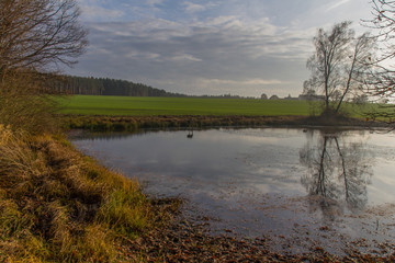 pond in autumn
