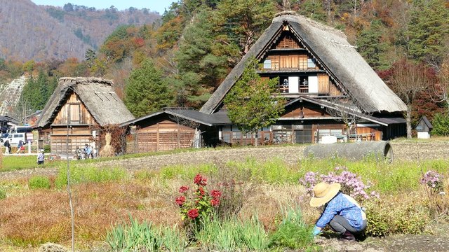 The Historic Villages of Shirakawa-gand Gokayama