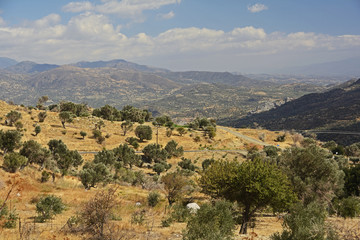 Fototapeta na wymiar Kreta, Landschaft mit Ida-Gebirge