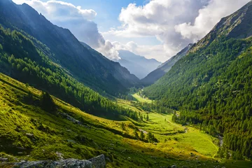 Poster Alpine landscape. Gran Paradiso National Park. Italy © ueuaphoto