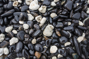Stone  beach of Li-pe island  in southern Thailand