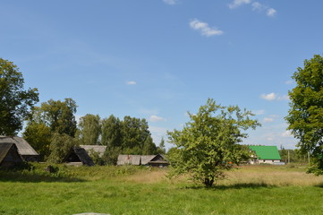 Obraz premium Лето