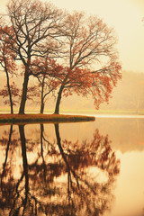Autumn lake in the park