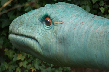 Mamenchisaurus © Daniel Mortell