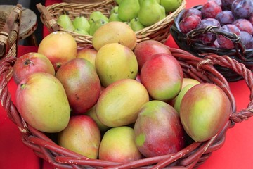 farmers Market - Fairchild Gardens -Fruit