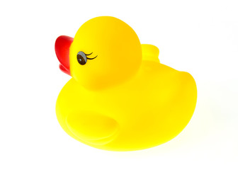 Yellow rubber duck on White Background