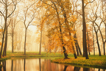Autumn lake in the park