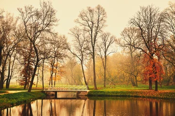 Deurstickers Herfst Lake in autumn park