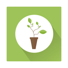 plant flat icon