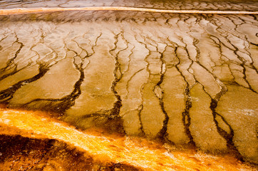 Hot spring pattern in Yellowstone