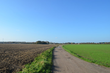 Fototapeta na wymiar small country road in rural area