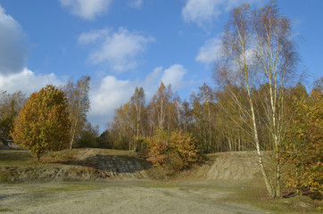 small mountainbike hills in forest