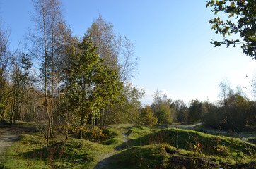 small hills in forest