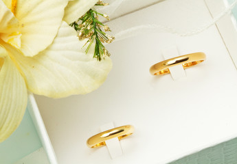 coppia di fedi con orchidea bianca