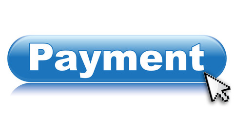 PAYMENT ICON