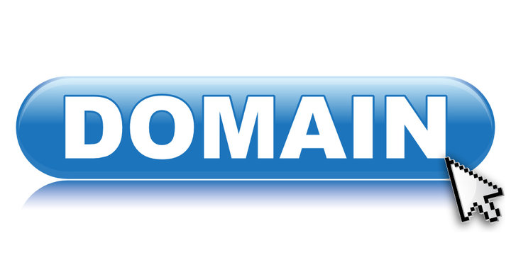 DOMAIN ICON