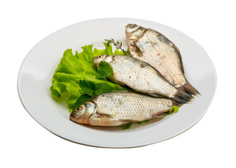 Crucian fish