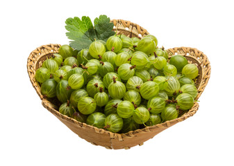 Gooseberry