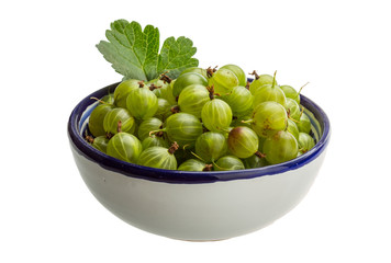Gooseberry