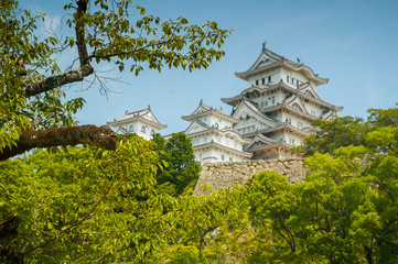 Himeji castle - 73213341