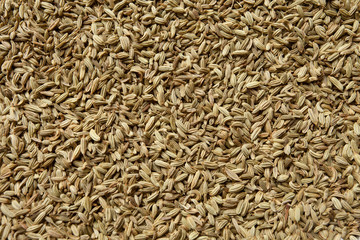 fennel seeds texture