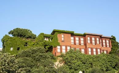 Building in green