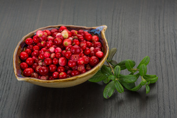 Cowberry