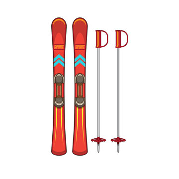 Ski and sticks.