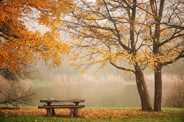 Obrazy na Szkle  Ławka jesienny park i jezioro