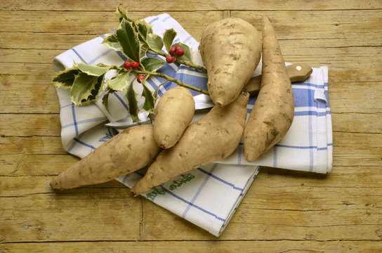 Ipomoea batatas Sweet potato Patata dolce Expo Milano 2015