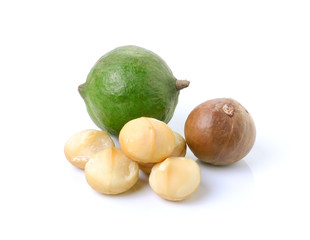 Fototapeta premium macadamia nuts on white background