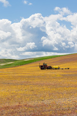 Harvested wheat field with tractor
