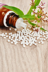 Homeopathic granules scattered on a wooden table