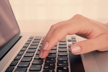 Female hands working on laptop on light background