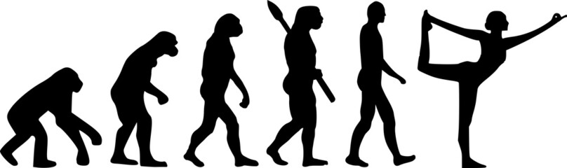 Yoga Evolution