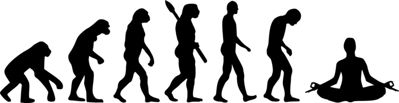 Yoga Evolution