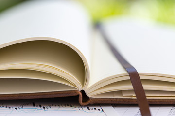 Close up on open book pages.Toned.