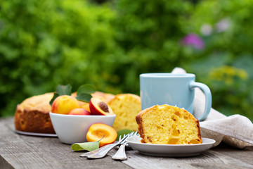 Sour cream cake with nectarines
