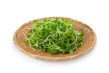 Obraz premium つまみ菜