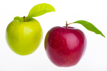 Fresh apple isolated on white background