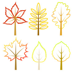 Fototapeta premium Set of autumn leaves.