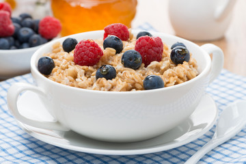 oat porridge with berries