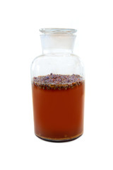 Kombucha with tea and juniper berries