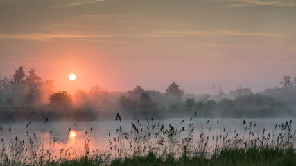 Naklejka premium Purple haze sunrise over a lake