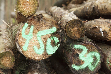 Vierhundertfünfzig - dreißig