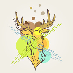 Deer Art colorful