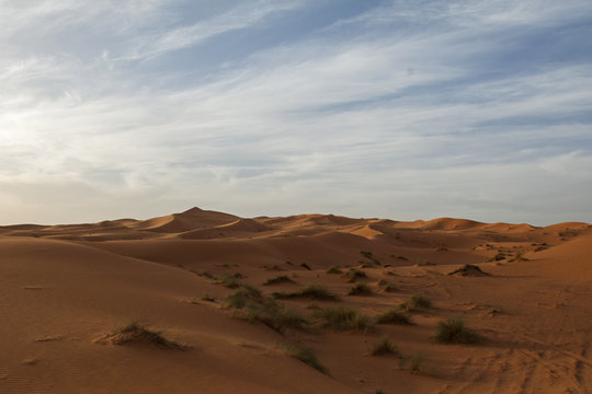 B&uuml;y&uuml;k sahra &ccedil;&ouml;l&uuml;