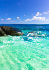 Fototapeta premium Corals Summer Seascape