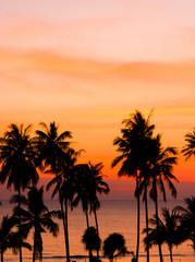 Obraz na płótnie Canvas Coconut Horizon Bay View